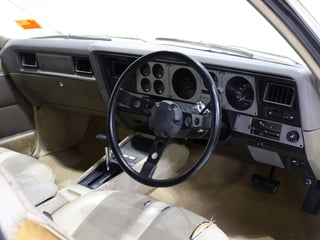 1975 Holden HJ GTS Monaro 2-Door Coupe - Chamois Unrestored Survivor 