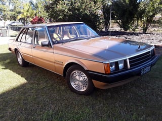 1982 Ford ZJ Fairlane 351 V8