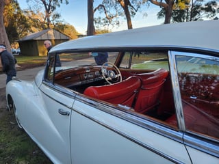 2024 All Holden Day and Coffee and Cars St Ives - A Massive Car Lover's Day!
