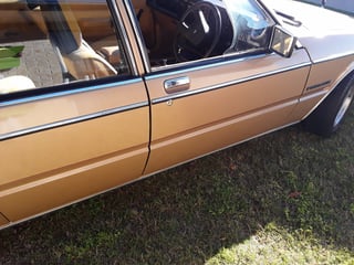 1982 Ford ZJ Fairlane 351 V8