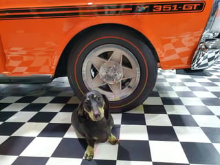 1971 XY GT Falcon Replica - Raw Orange