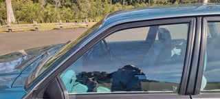 1985 Holden VK Calais 308 V8