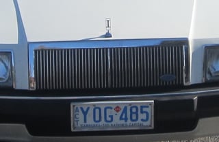 1980 Ford LTD .. Ex. Commonwealth Politician's car ..