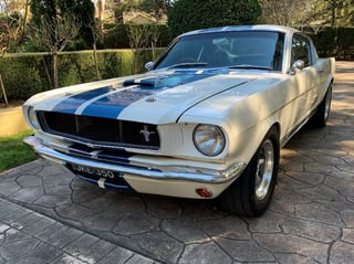 1965 Shelby Mustang GT350 Tribute