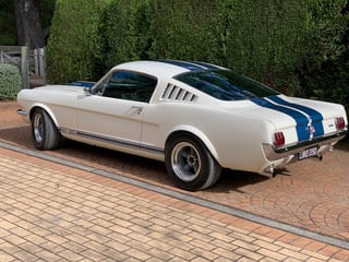 1965 Shelby Mustang GT350 Tribute