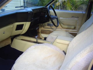 ZG Fairlane 351 50th Anniversary