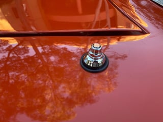 1974 Leyland P76 Executive - 4.4L V8