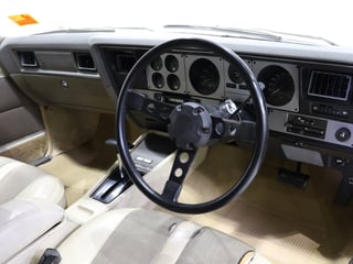 1975 Holden HJ GTS Monaro 2-Door Coupe - Chamois Unrestored Survivor 