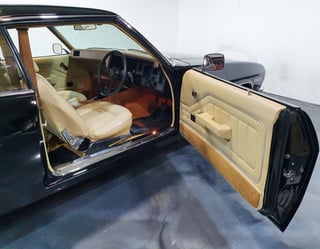 1973 HQ GTS Monaro Coupe 350 4 Speed - Warrigal Black