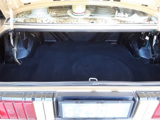 1982 Ford ZJ Fairlane 351 V8