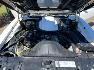 1976 Pontiac Firebird Trans Am 455 HO 4 speed manual