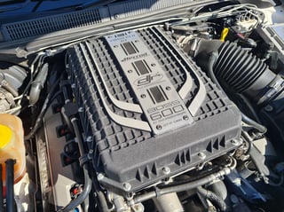 2022 All Ford Day - Eastern Creek, Sydney