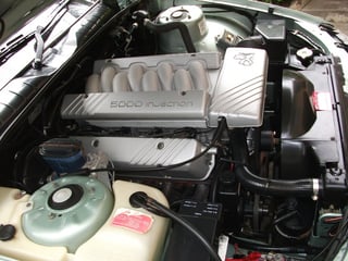 VN Commodore Executive 5 L V8