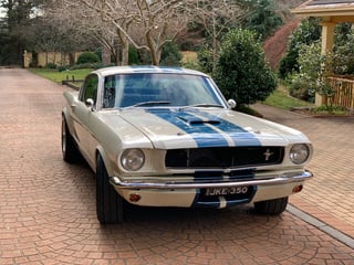 1965 Shelby Mustang GT350 Tribute