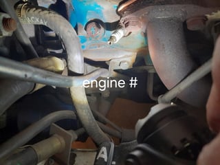 1983 Holden VH HDT Brock Commodore SS Group 3