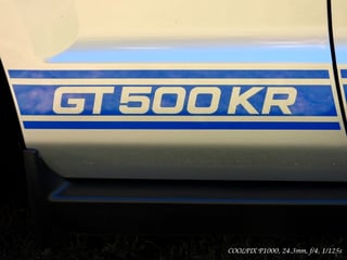 2009 Ford Shelby Mustang GT500KR