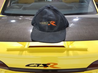 1996 HSV VS GTS-R Commodore #16