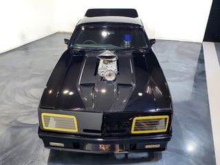 1977 XC Falcon Hardtop - Mad Max Replica