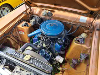 2021 All Ford Day - Sydney