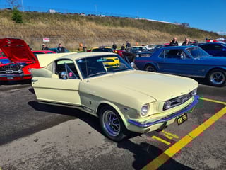 2022 All Ford Day - Eastern Creek, Sydney
