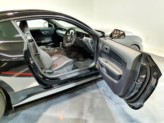 2019 Dick Johnson Limited Edition Mustang - Build 10/30 - Automatic