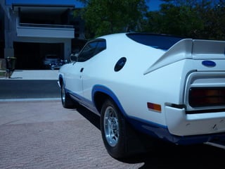 XC Falcon Cobra #166