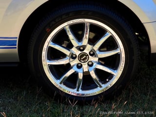 2009 Ford Shelby Mustang GT500KR