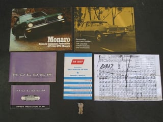 HG GTS 350 Monaro Treasure