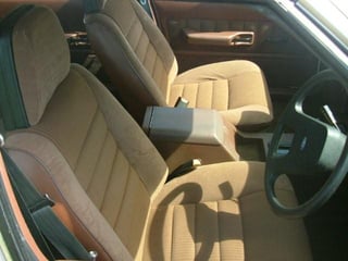 1979 ZJ Fairlane 500 V8