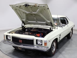 1975 Holden HJ GTS Monaro 2-Door Coupe - Chamois Unrestored Survivor 