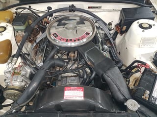 1984 VK HDT Commodore SS Group 3