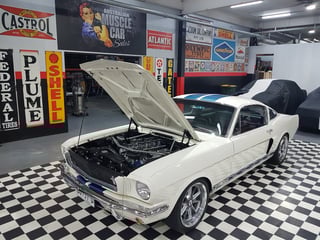 1966 Mustang Shelby GT350 Tribute