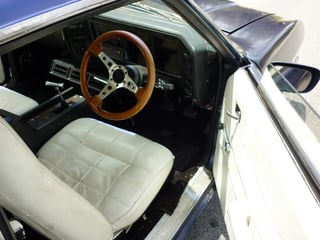 XB GS Falcon Coupe 302 V8