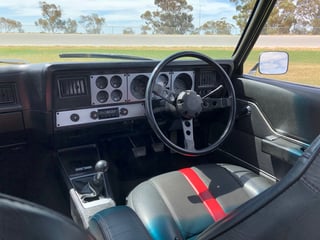 1975 HJ GTS Monaro 4.2L V8