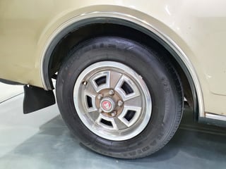 1969 HT GTS Monaro 186S - SURVIVOR