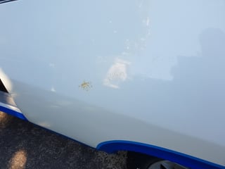 1978 XC Falcon Cobra Hardtop No.227