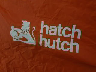 1978 LX SS Torana V8 Hatchback