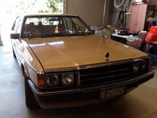 1982 Ford ZJ Fairlane 351 V8