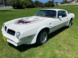 1976 Pontiac Firebird Trans Am 455 HO 4 speed manual