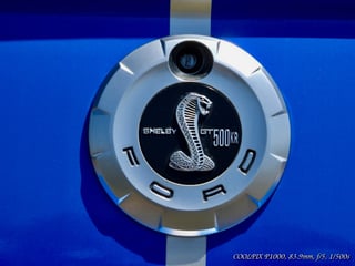 2009 Ford Shelby Mustang GT500KR