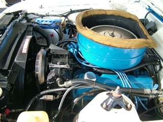 XC Falcon Cobra #107