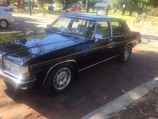 1984 WB HDT Statesman Caprice Magnum #1271