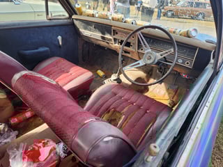 2024 All Holden Day and Coffee and Cars St Ives - A Massive Car Lover's Day!