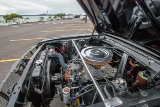 1965 Mustang Fastback Shelby GT350H Tribute