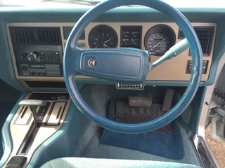1984 WB Statesman DeVille