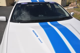 2007 BFII GT Falcon Cobra No.163