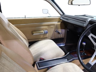 1977 Chrysler Valiant CL Charger 770 - Poison Ivy Metallic