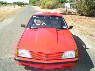 1983 VH Group 3 Brock Commodore #923