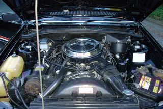 Black VC Brock Commodore #443