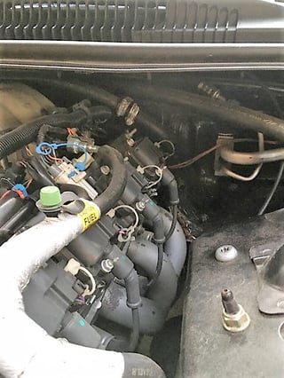 2002 Pontiac Firebird Trans Am WS6